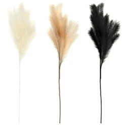 B&M Pampas Stem - Black -Decorative Accessories Shop 372800 395541 394382 pamas stem group 2