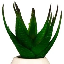 B&M Small Succulent -Decorative Accessories Shop 380107 small succulent 4