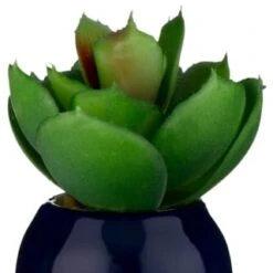 B&M Small Succulent -Decorative Accessories Shop 380107 small succulent 6