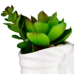 B&M Scandi Shore Small Shell Succulent -Decorative Accessories Shop 380110 small shell succulent 2
