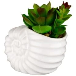 B&M Scandi Shore Small Shell Succulent -Decorative Accessories Shop 380110 small shell succulent 3