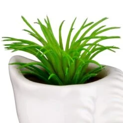 B&M Scandi Shore Small Shell Succulent -Decorative Accessories Shop 380110 small shell succulent 5