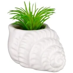 B&M Scandi Shore Small Shell Succulent -Decorative Accessories Shop 380110 small shell succulent 6