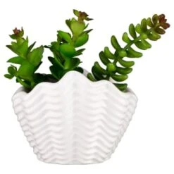 B&M Scandi Shore Small Shell Succulent -Decorative Accessories Shop 380110 small shell succulent 7