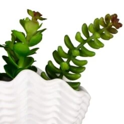 B&M Scandi Shore Small Shell Succulent -Decorative Accessories Shop 380110 small shell succulent 8