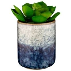 Decorative Accessories Shop 23 B&M Scandi Shore Succulent