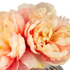 Decorative Accessories Shop -Decorative Accessories Shop 380201 peony in ribbed glass vase 2