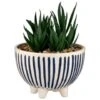 B&M Scandi Shore Stripe Succulent