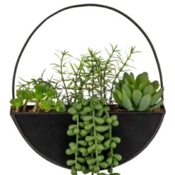 Decorative Accessories Shop -Decorative Accessories Shop 380727 black hanging trailing plant 2