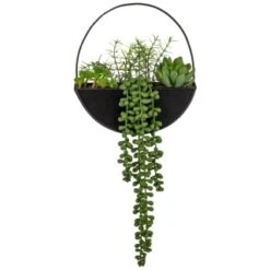 Decorative Accessories Shop 21 B&M Eden Life Round Trailing Plant
