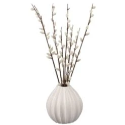 B&M Pussy Willow In White Vase