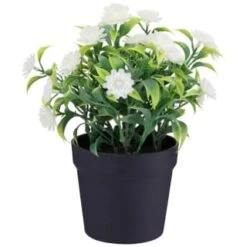 Bloom Daisies In Pot - White -Decorative Accessories Shop 392825 daisies in pot