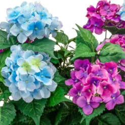 Decorative Accessories Shop -Decorative Accessories Shop 392827 basic window box hydrangea 2