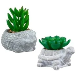 Decorative Accessories Shop -Decorative Accessories Shop 392859 mini animal succulent group