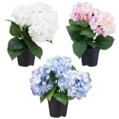 Bloom Hydrangea In Pot - Pink -Decorative Accessories Shop 392961 hydrangea in pot group1