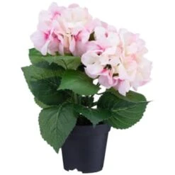 Decorative Accessories Shop 29 Bloom Hydrangea In Pot - Pink