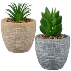 B&M Small Succulent Pot - Stone -Decorative Accessories Shop 394663 small succulent group