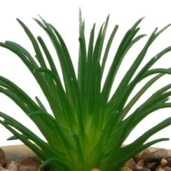 Decorative Accessories Shop -Decorative Accessories Shop 394663 small succulent stone 2